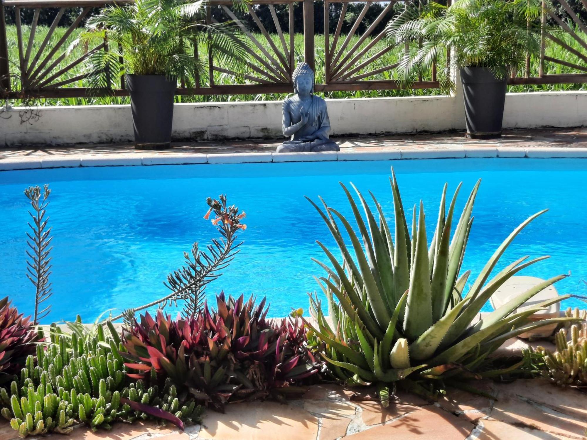 Joli Appartement, Piscine, Jacuzzi Sainte-Suzanne Exterior photo